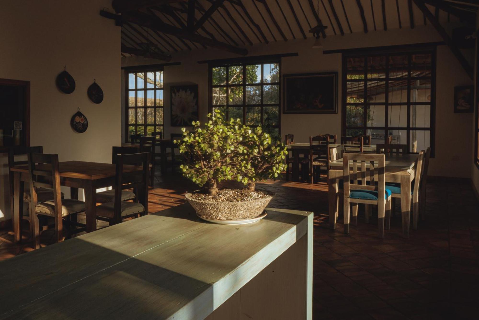 Hotel Finca Buenos Aires บาริชารา ภายนอก รูปภาพ